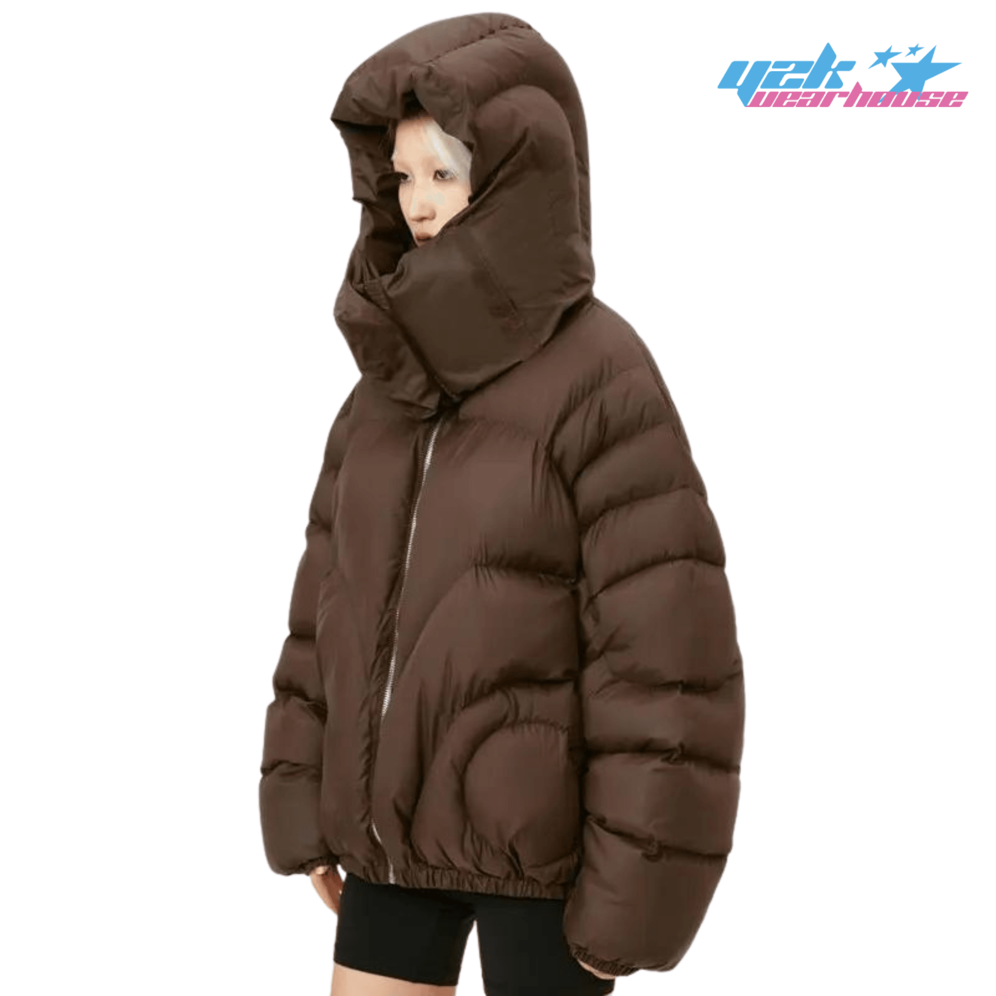 Y2K Trendy Down Jacket